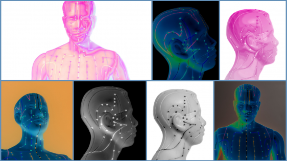 Facial Acupuncture Diagram